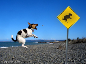 dog-mimicking-sign-shopped-or-not